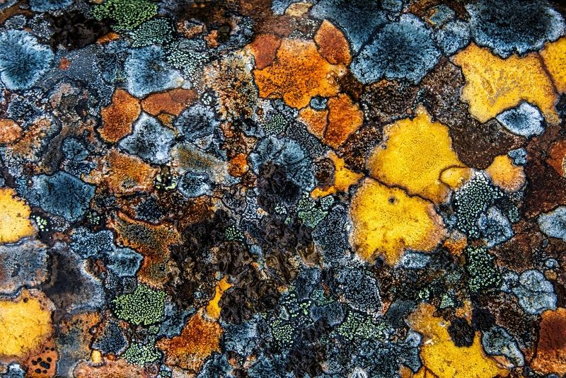 Кольский полуостров, Мурманская область География камня фото превью