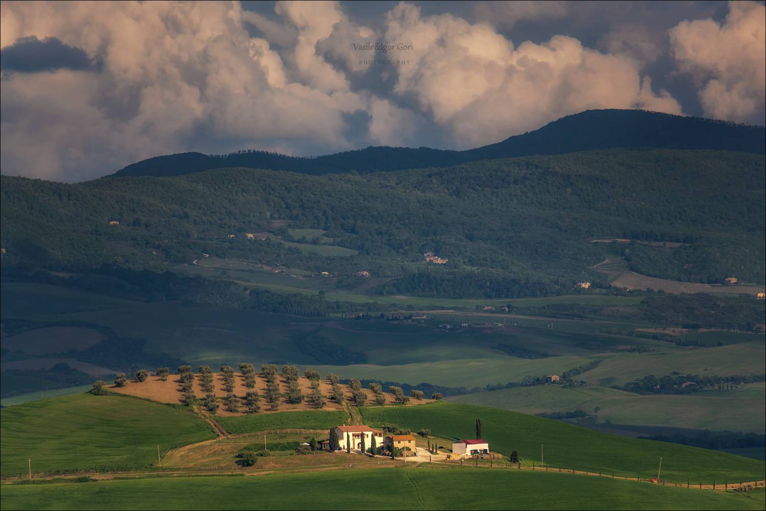 italy,san quirico d'orcia,italia,тоскана,pienza,кипарис,toscana,весна,tuscany,cipressi,belvedere,пьенца,тени,rural,landscapes,nature,, Гори Василий