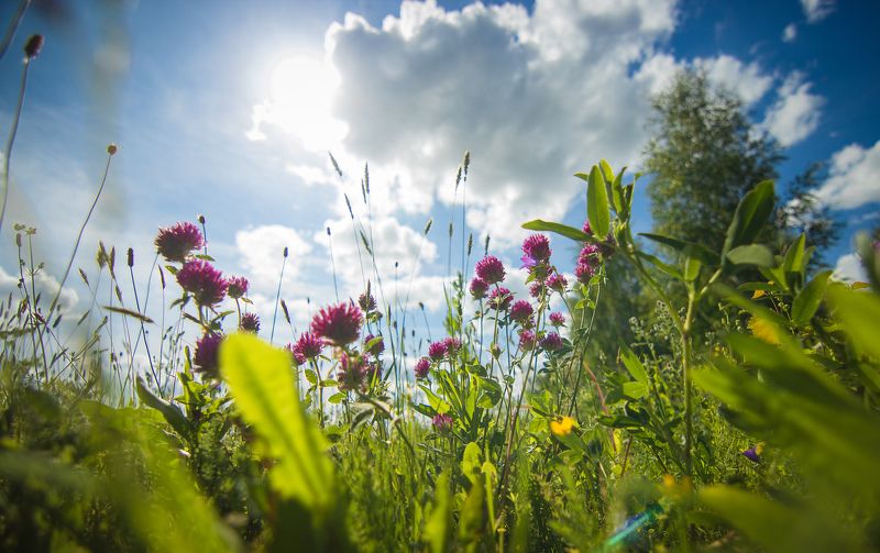 фото превью