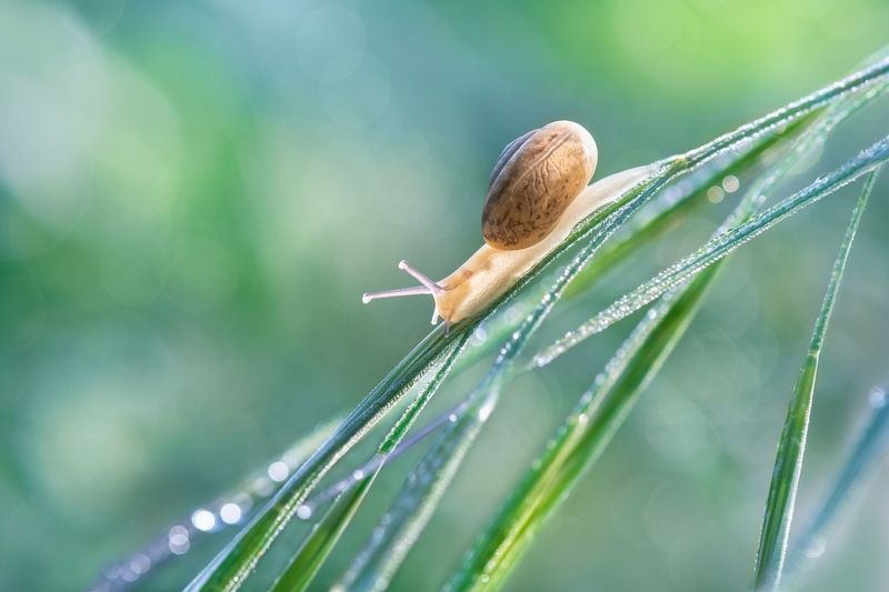 *Февраль - предчувствие весны... фото превью