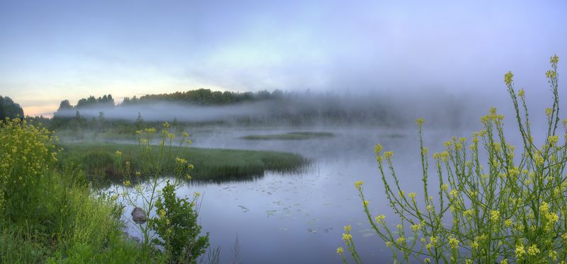 Летний утренний туман фото превью