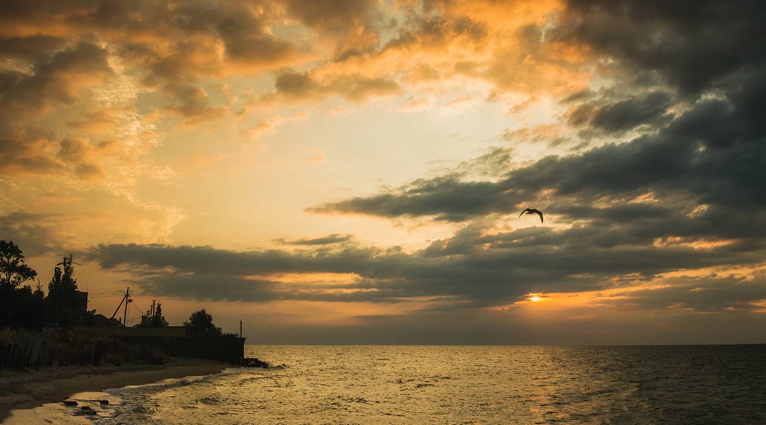 , Мелекесцев Игорь