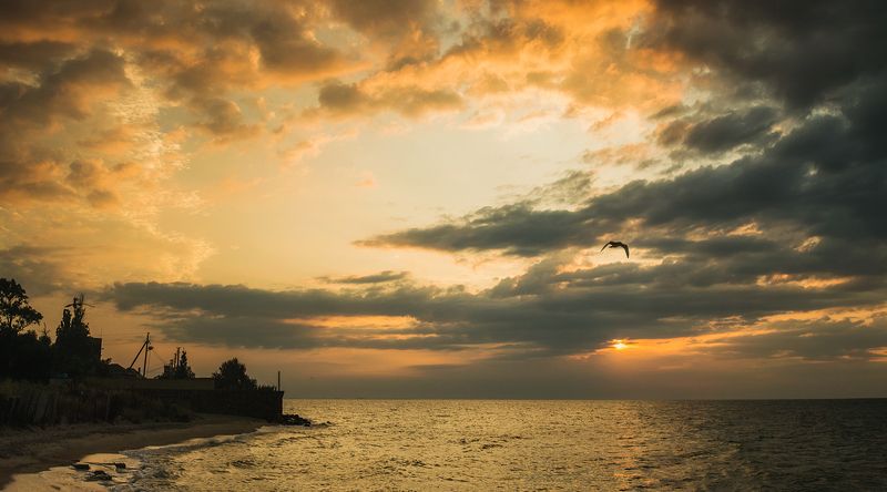 Азовский рассвет фото превью