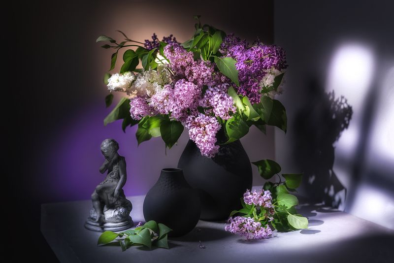 сирень, цветы, букет Сирень фото превью