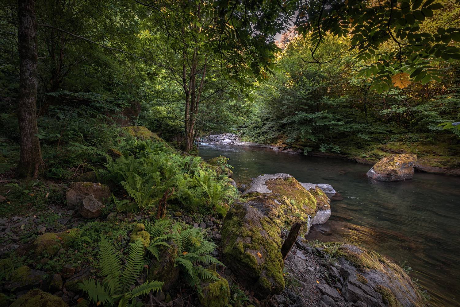 сhakvistskali, river, mtirala, mountains, forest, jungles, nature, landscape, scenery, travel, outdoors, georgia, sakartvelo, adjara, chizh, Чиж Андрей