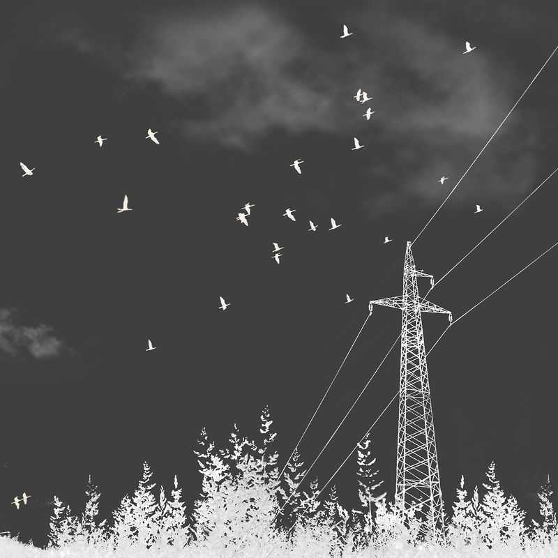 Инверсия восприятия фото превью