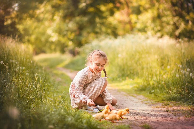 фото превью