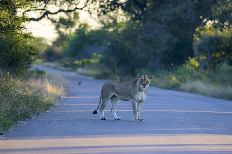 Встреча фото превью
