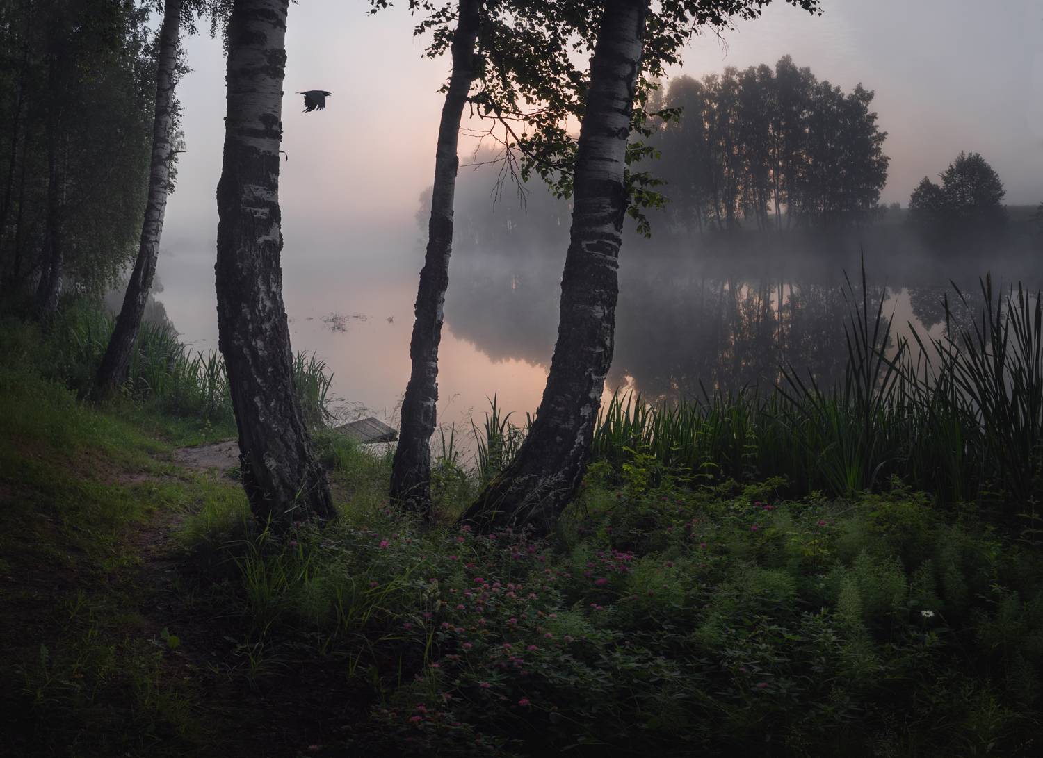 #пезаж #туман #рассвет,  Ольга