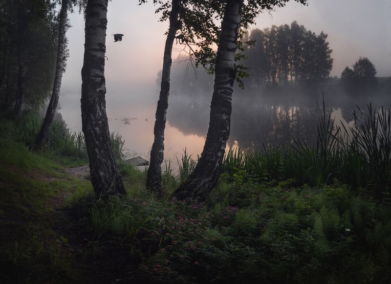 #пезаж #туман #рассвет  фото превью