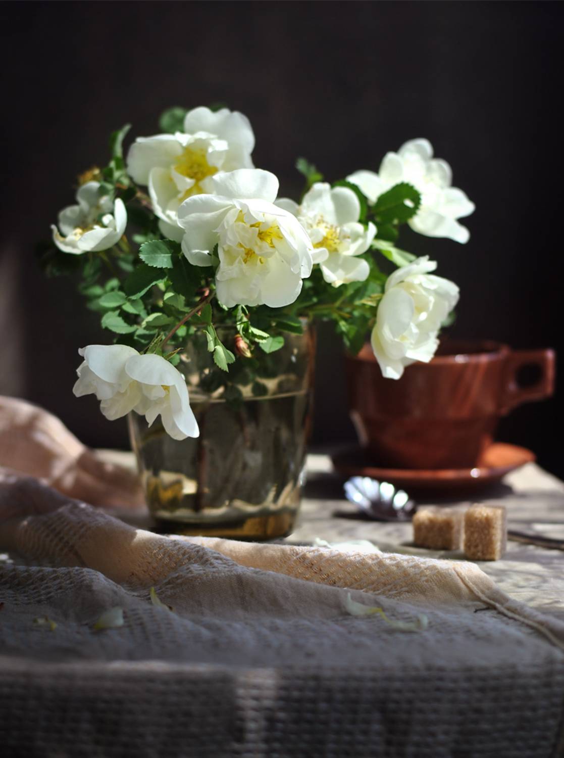 , Elena Pankova