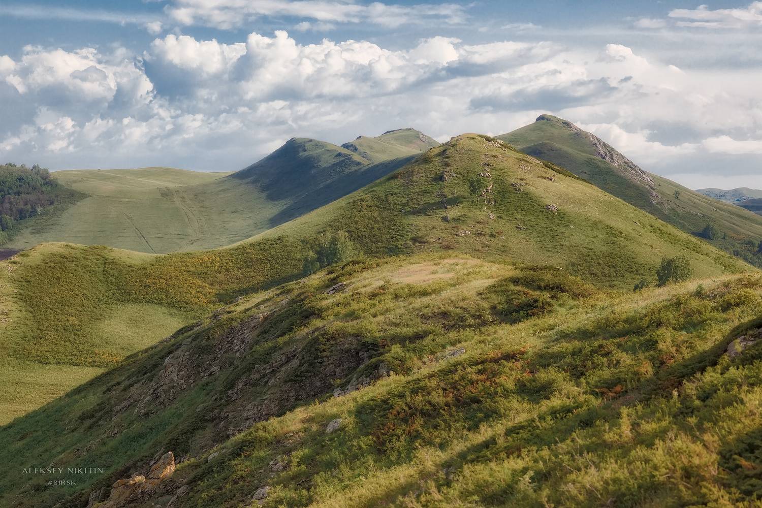 , Алексей Никитин