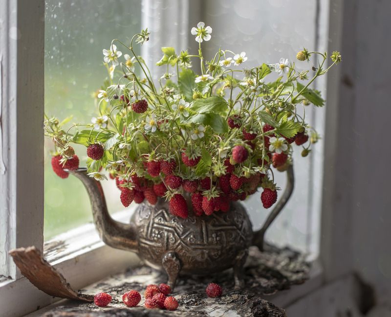 натюрморт, земляника Лесная...ароматная... фото превью