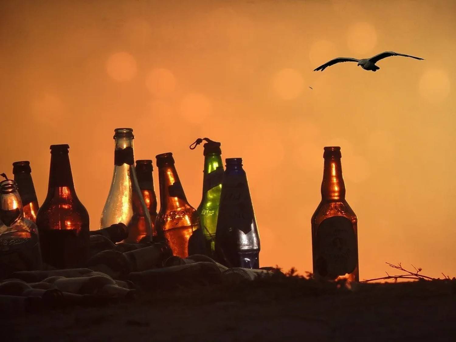 , Савоцкий Роман