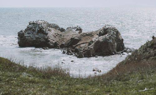 Путешествие к весеннему мысу Такиль.