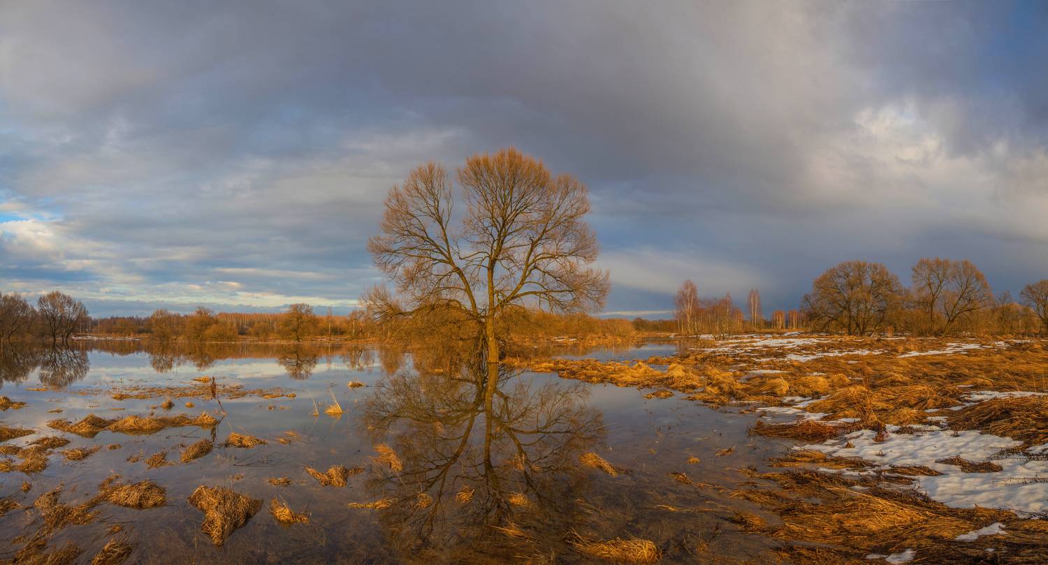 весна, река, Свистков Александр