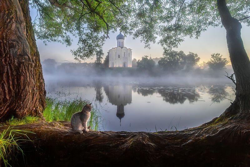 Сказочное утро. фото превью