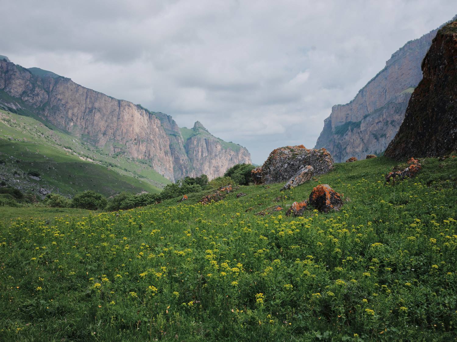 , Сячин Саша