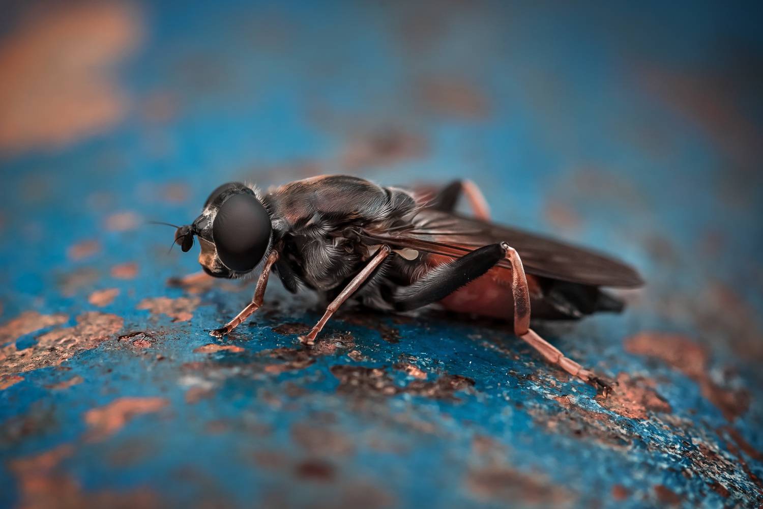 , Рагинская Ольга