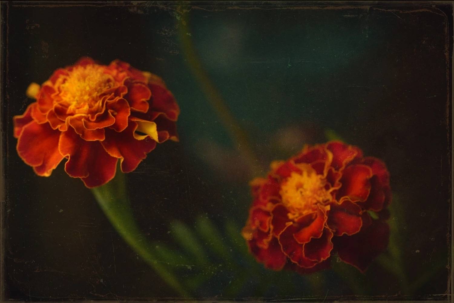 , Хромеев Александр