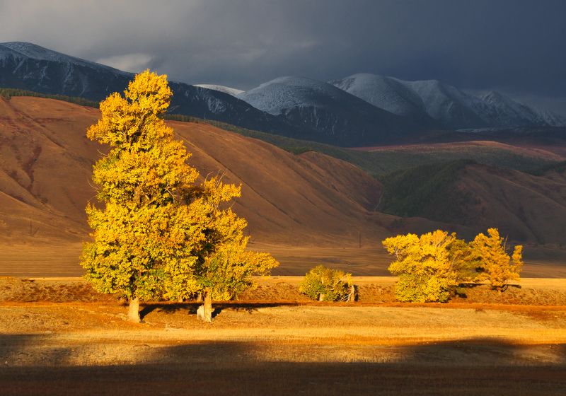 Осень в Курае фото превью