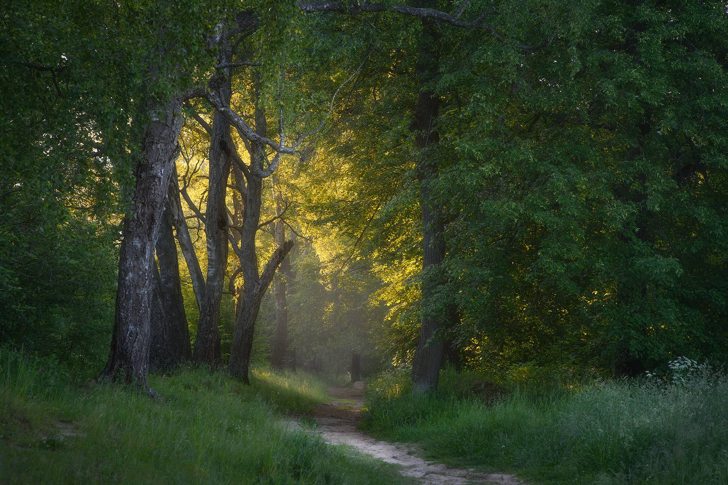 , Костенко Александр