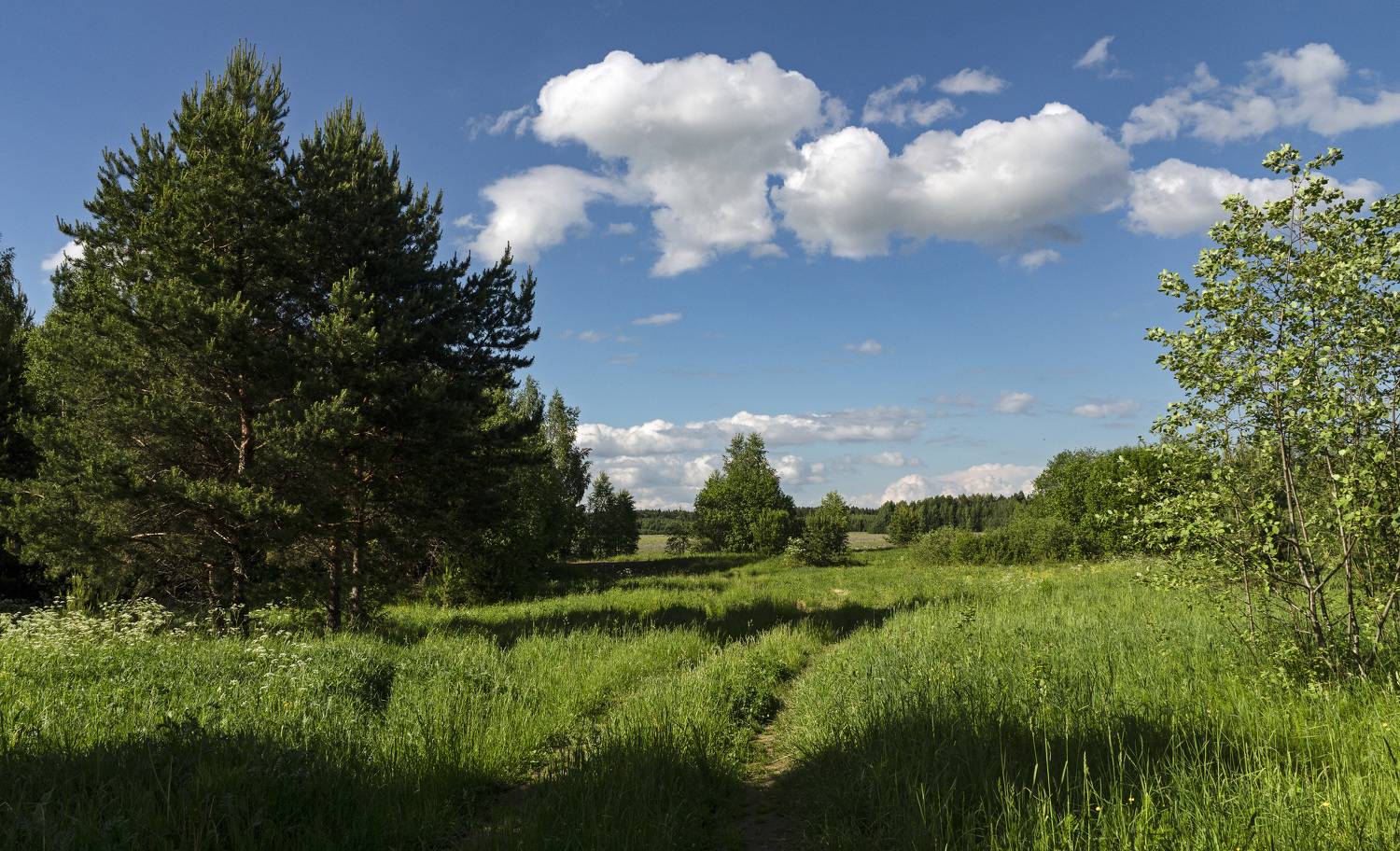 , Шитов Александр