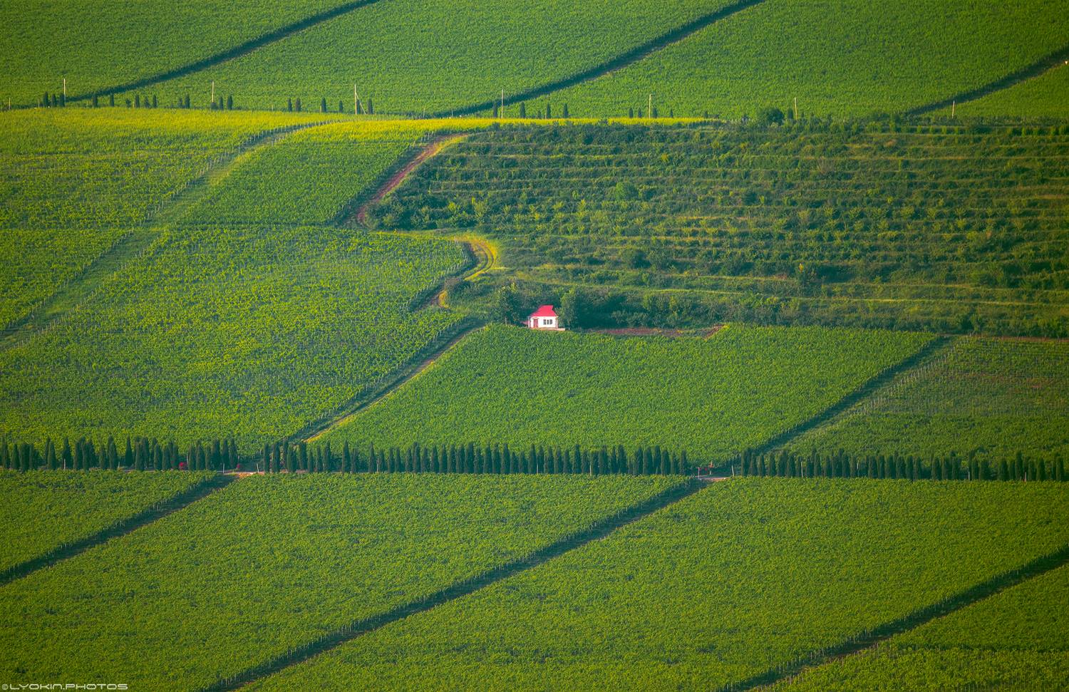 азербайджан,  Lyokin
