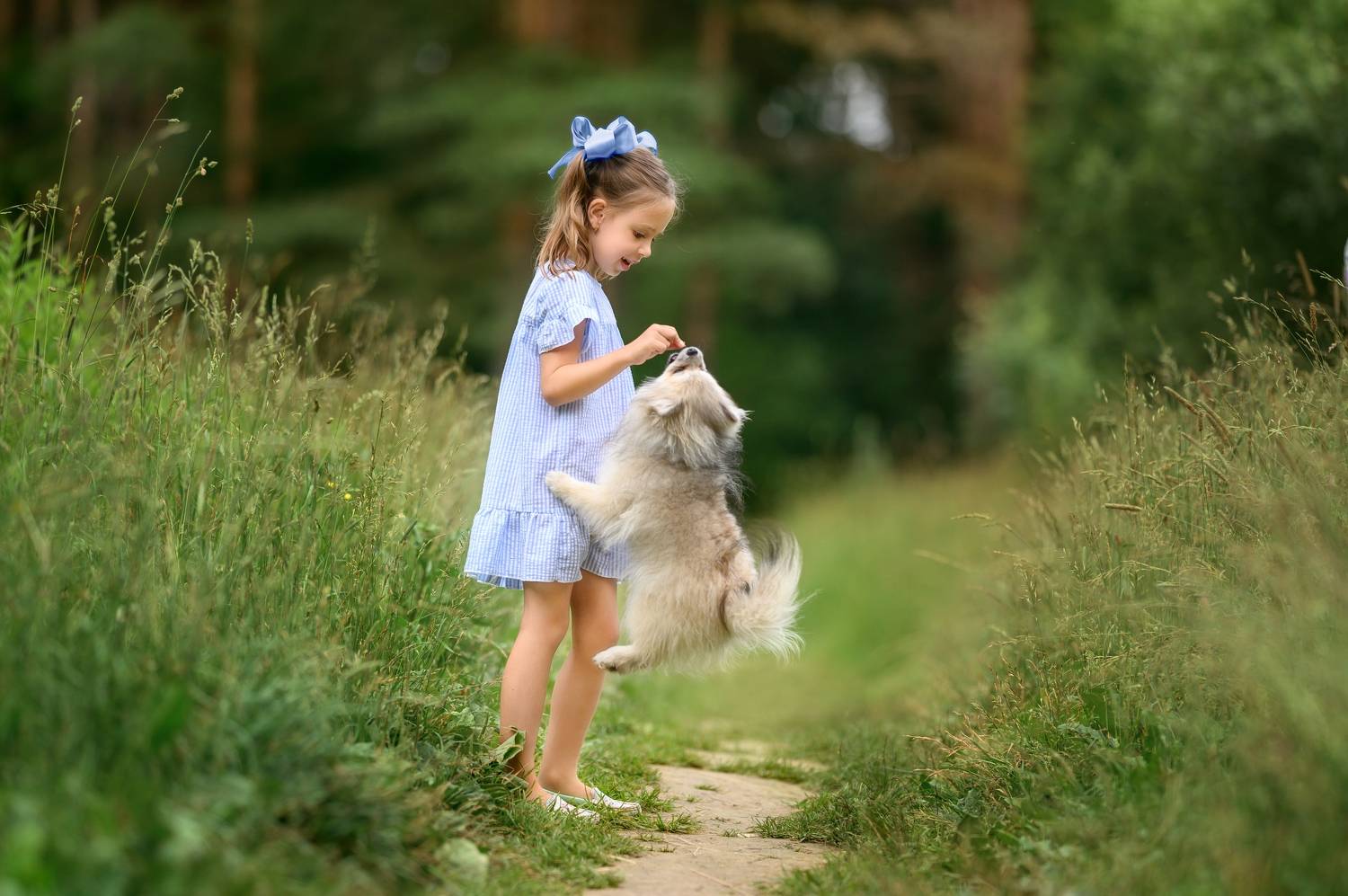 девочка, собака, игра, лето, лес, Наталья Смирнова
