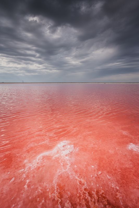 Озеро Сасык фото превью