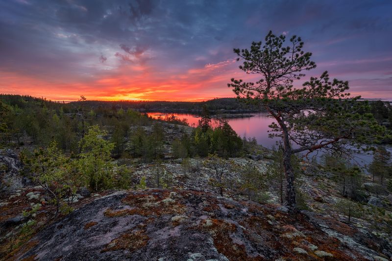 Заря шхериться не стала.... фото превью