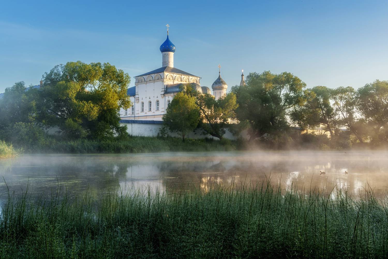 , Добродий Михаил