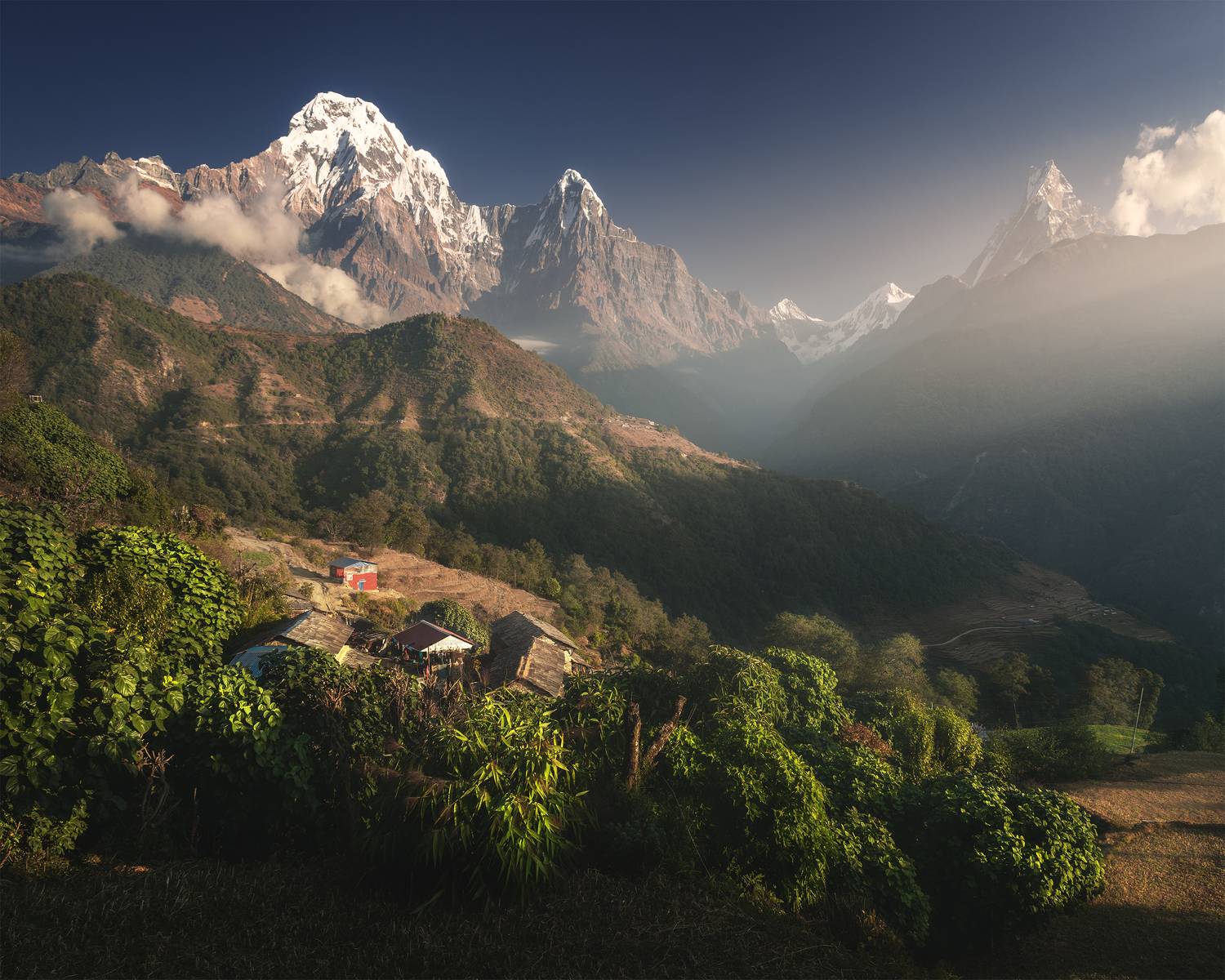 , Политова Анна