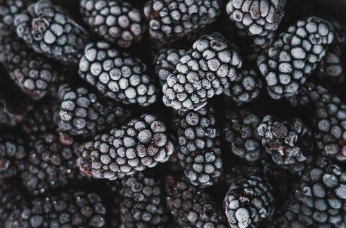 Замороженная ежевика.