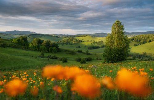 Хоббитания и огоньки