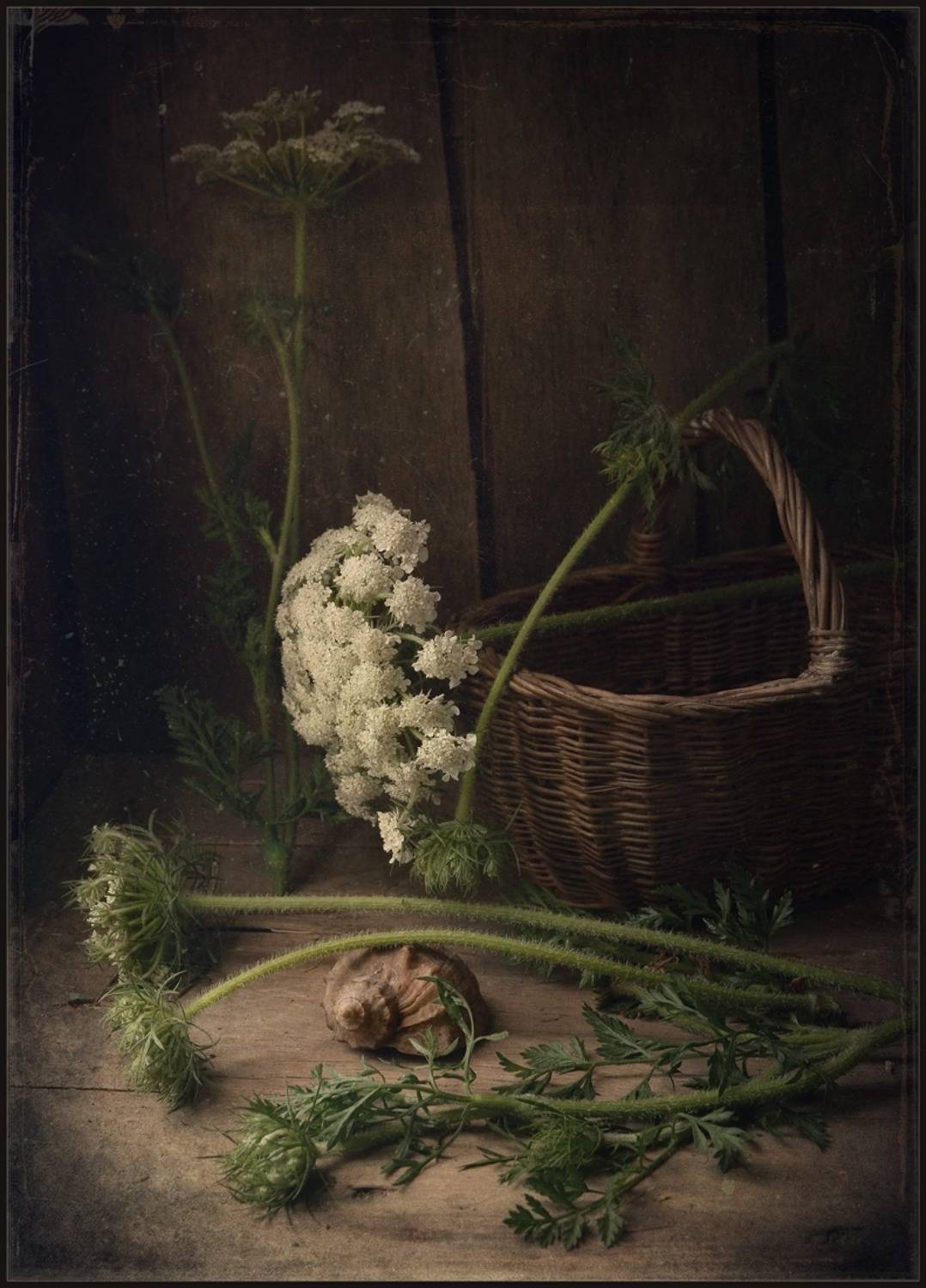 , Хромеев Александр