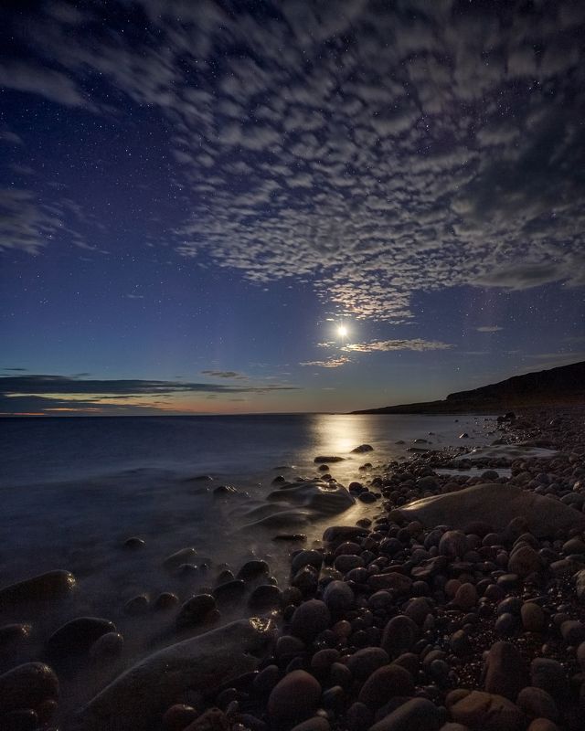 Царица ночи фото превью