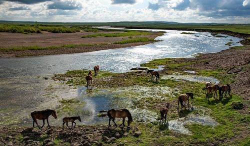 На берегу Нуры