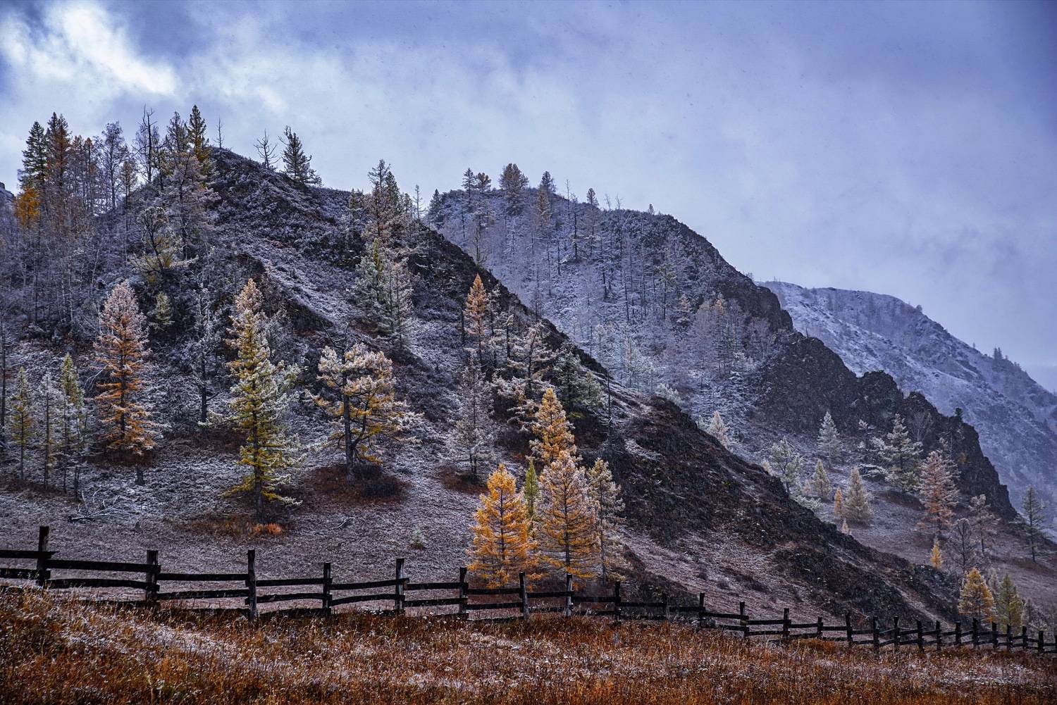 алтай. осень. горы., Евгений Дроботенко