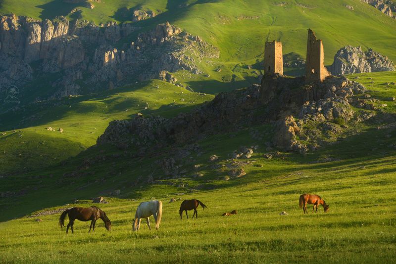осетия, северная осетия, фототур в северную осетию, горы, тур по осетии, фототур по осетии, халгон ХАЛГОН фото превью
