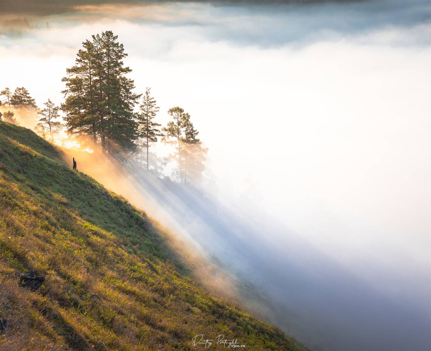 лес, туман, гора, утро, рассвет, лучи, лето, трава, чита, забайкальский край, забайкалье, красивое забайкалье, Портных Дмитрий