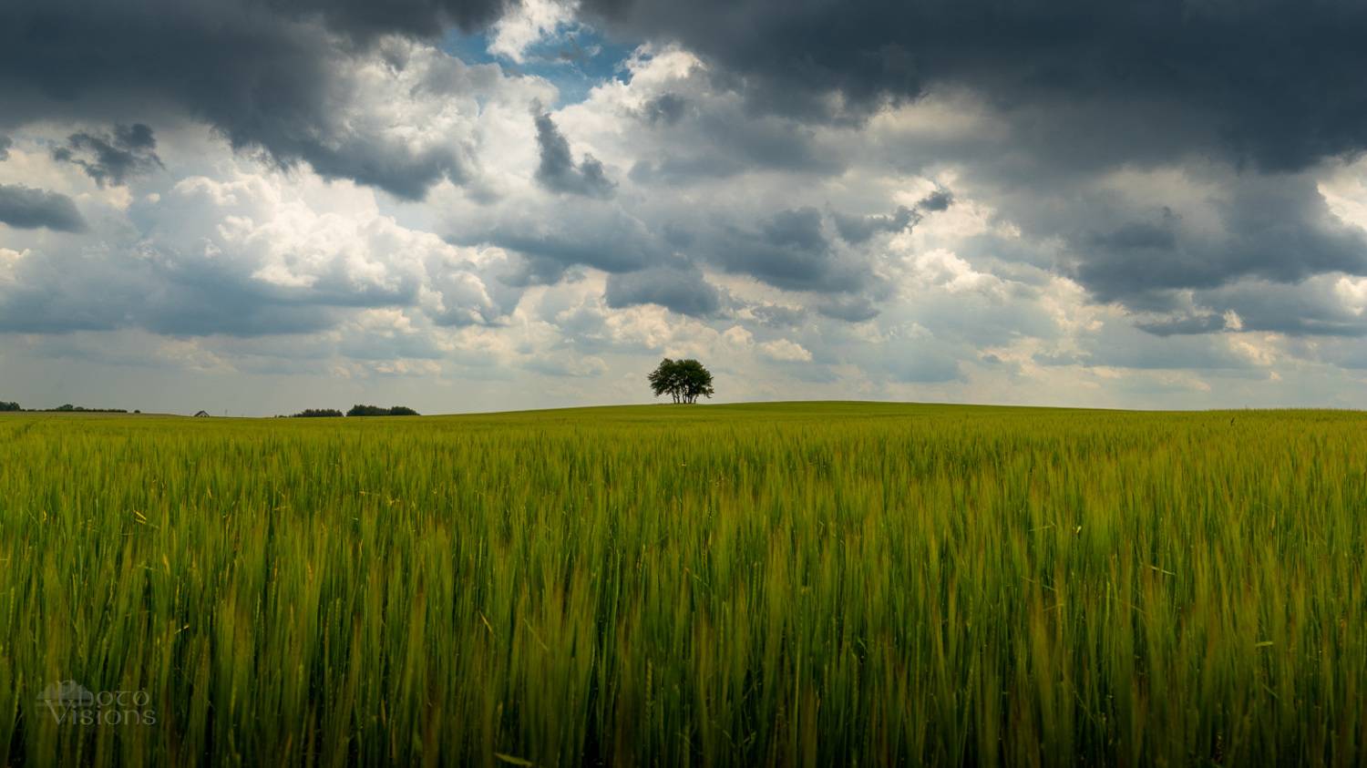 field,landscape,trees,sky,clouds,cloudscape,, Photo Visions