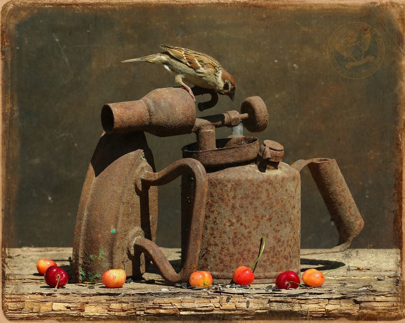 В природе лета было жечь фото превью