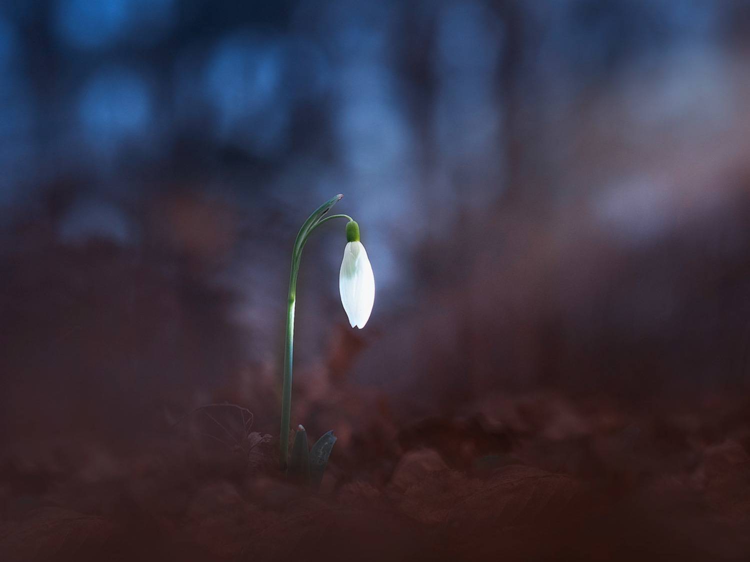 , Лукашук Евгений