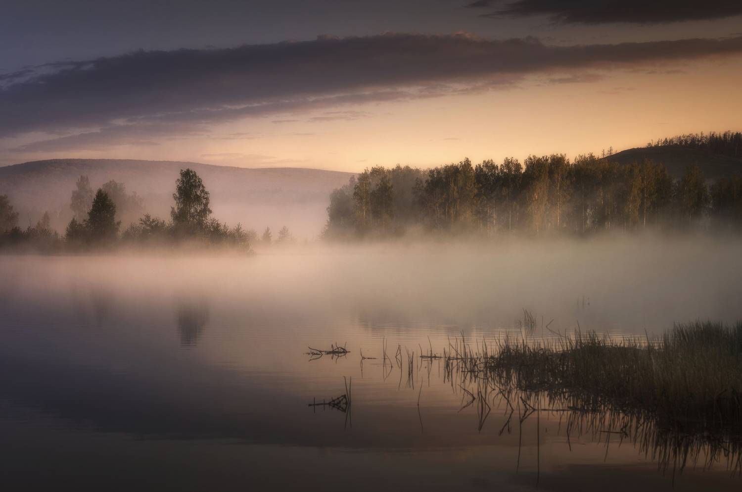 , Татьяна Бирюкова