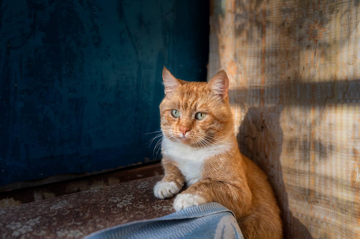 , Alexander Pashenichev