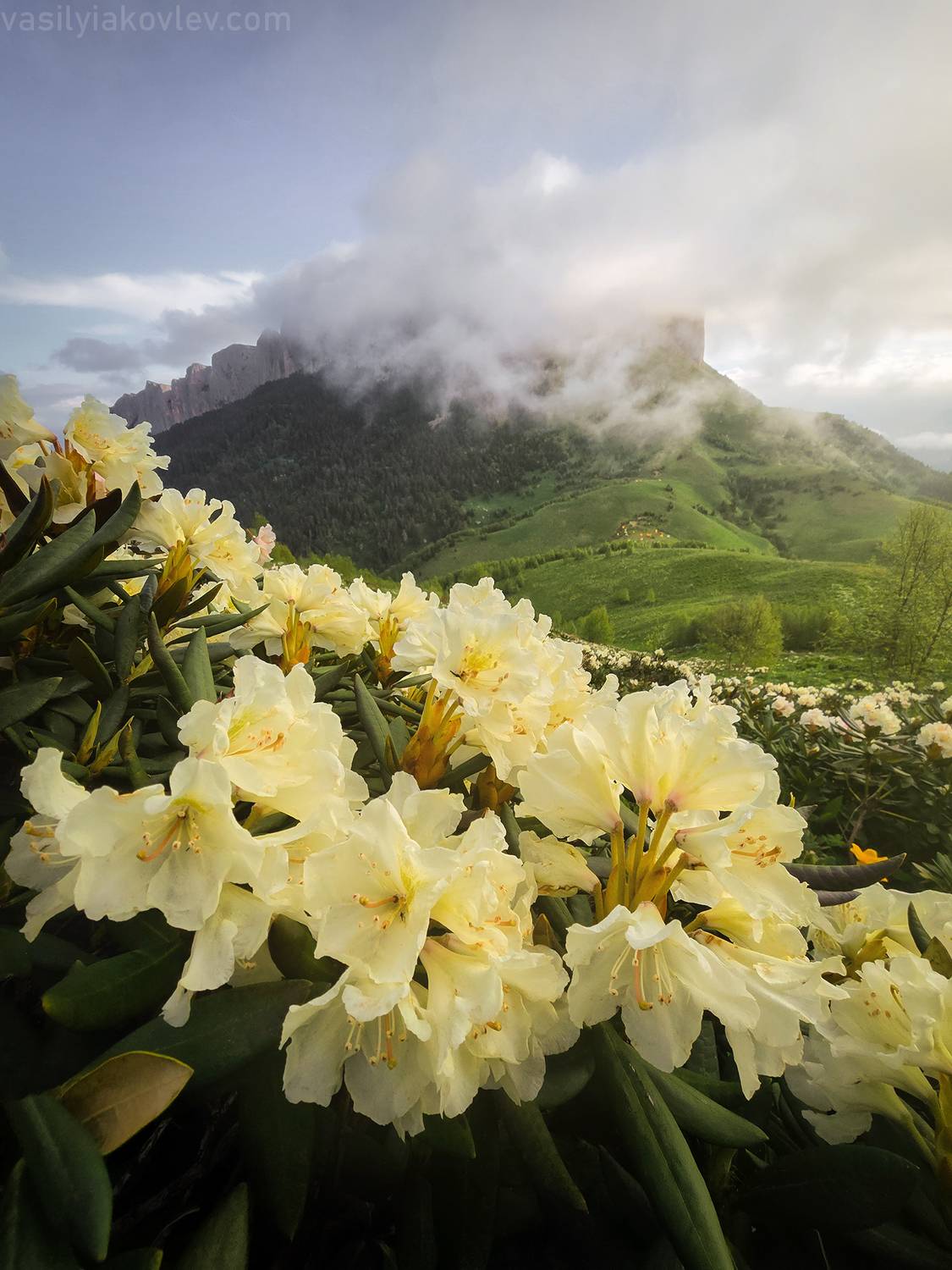 тхач, большой тхач, фототур, яковлевфототур, кавказ, адыгея, Василий Яковлев