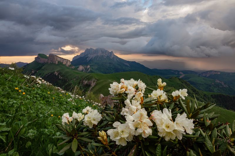 Перед бурей фото превью
