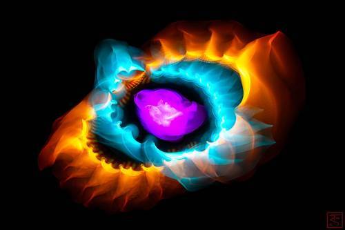 Сверхновая