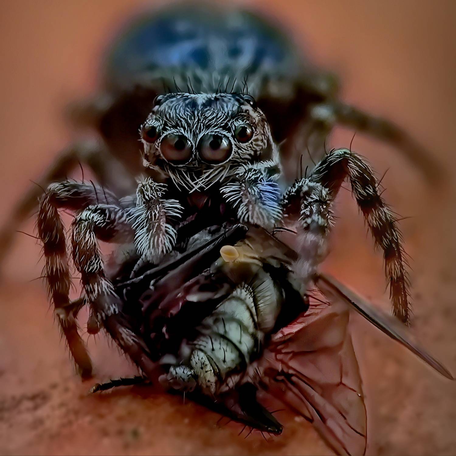 , Кузнецов Дмитрий